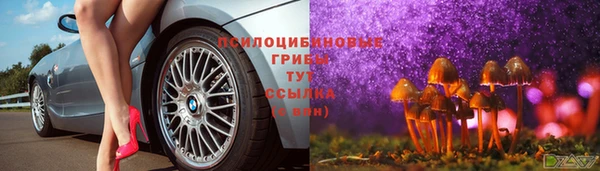 твердый Богородицк