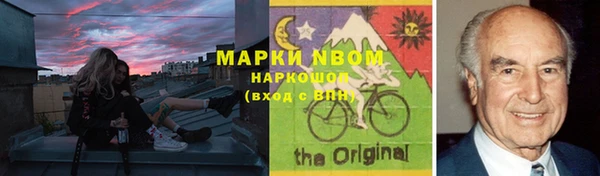 PSILOCYBIN Богданович