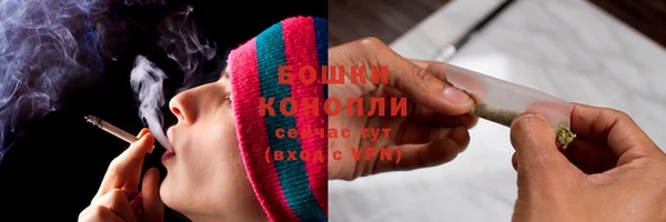 твердый Богородицк