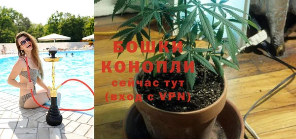 PSILOCYBIN Богданович