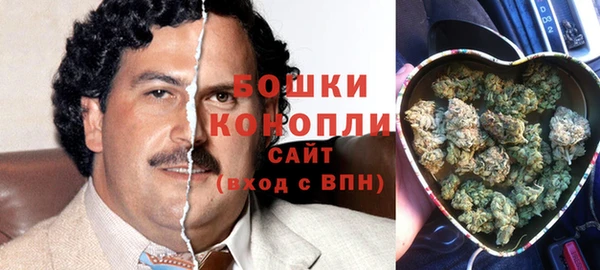 PSILOCYBIN Богданович