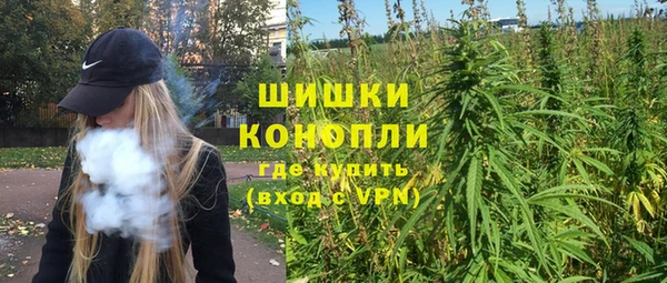 PSILOCYBIN Богданович