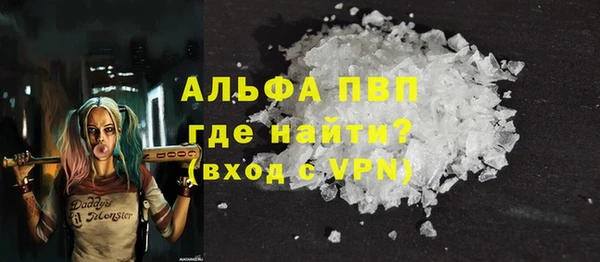 PSILOCYBIN Богданович