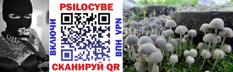 Купить где Озёры Галлюциногенные грибы Psilocybine cubensis